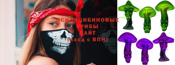 ГАЛЛЮЦИНОГЕННЫЕ ГРИБЫ Абаза