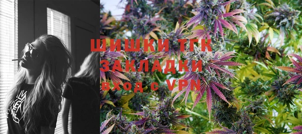 ГАЛЛЮЦИНОГЕННЫЕ ГРИБЫ Абаза