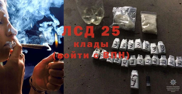 ГАЛЛЮЦИНОГЕННЫЕ ГРИБЫ Абаза
