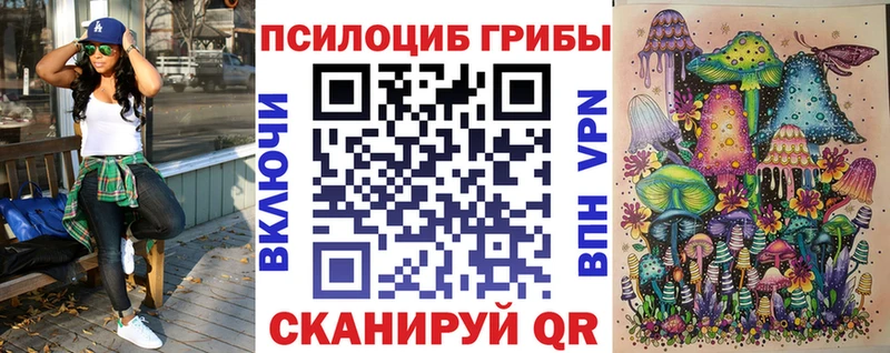 купить  сайты  Сысерть  Галлюциногенные грибы прущие грибы 